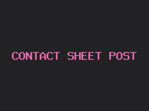 Contact Sheet theme post page preview