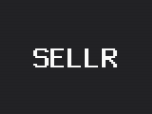 Sellr theme home page preview