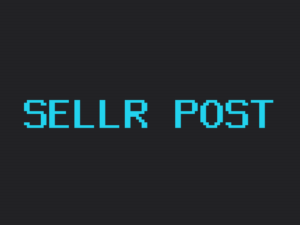 Sellr theme post page preview